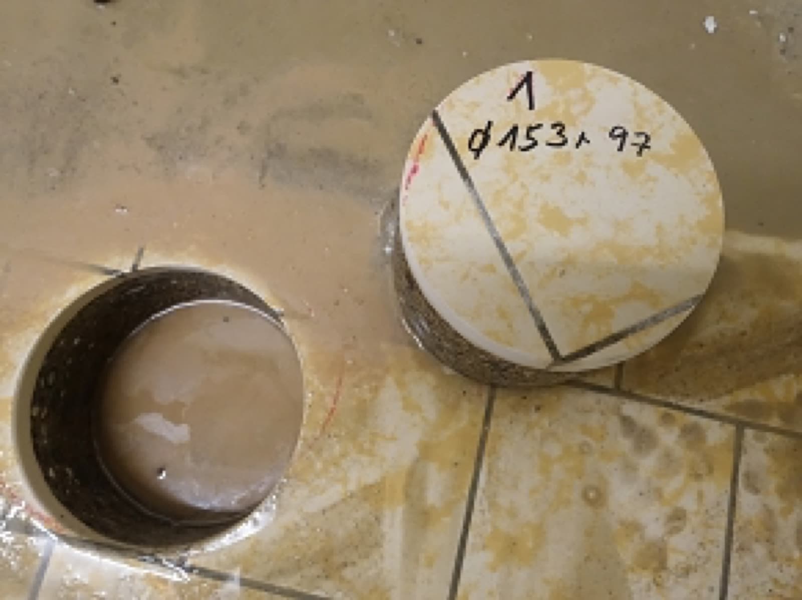 Entnommene Bohrkerne als Materialproben für die Bewertung