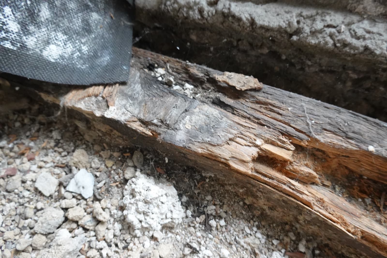 Fäulnisschaden an einem tragenden Holzbalken